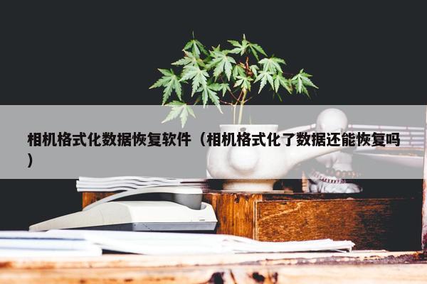 相机格式化数据恢复软件（相机格式化了数据还能恢复吗）