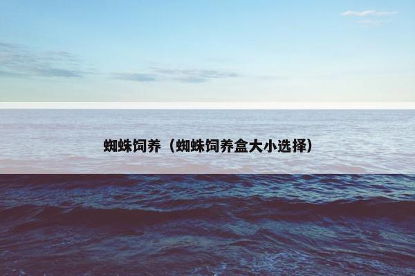 蜘蛛饲养（蜘蛛饲养盒大小选择）