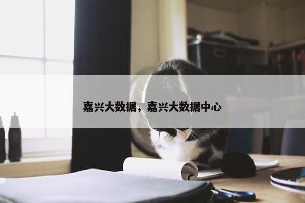 嘉兴大数据，嘉兴大数据中心