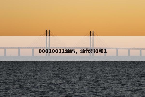 00010011源码，源代码0和1