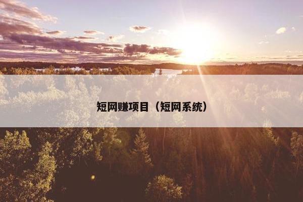 短网赚项目（短网系统）