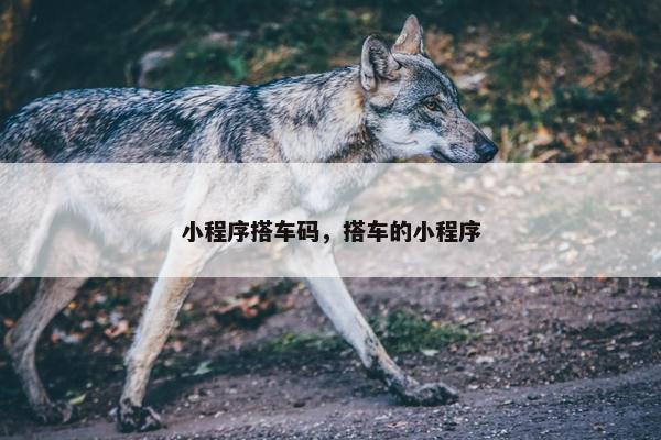 小程序搭车码，搭车的小程序