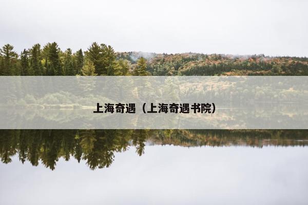 上海奇遇（上海奇遇书院）