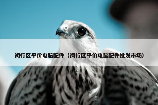 闵行区平价电脑配件（闵行区平价电脑配件批发市场）