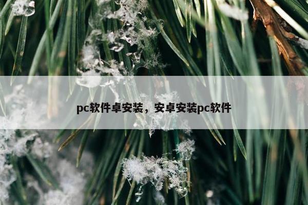 pc软件卓安装，安卓安装pc软件