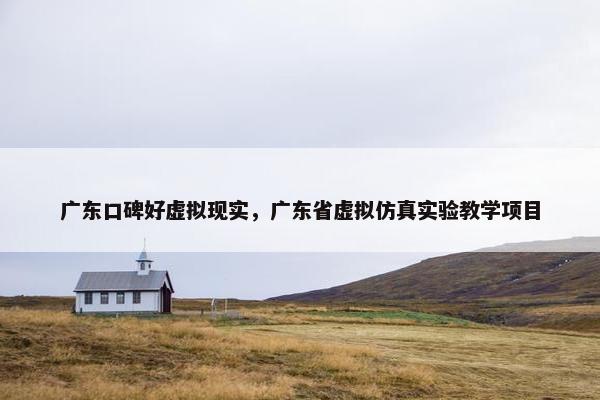 广东口碑好虚拟现实，广东省虚拟仿真实验教学项目