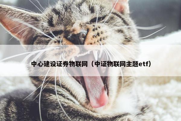 中心建设证券物联网（中证物联网主题etf）