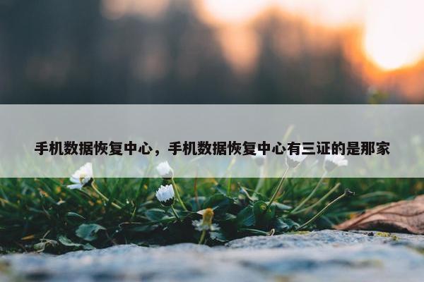 手机数据恢复中心，手机数据恢复中心有三证的是那家
