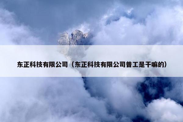东正科技有限公司（东正科技有限公司普工是干嘛的）