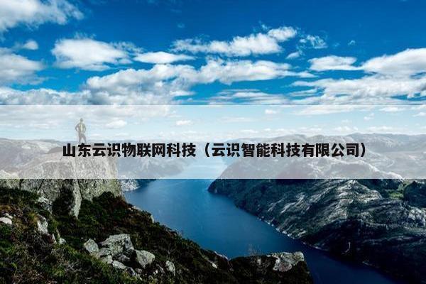 山东云识物联网科技（云识智能科技有限公司）