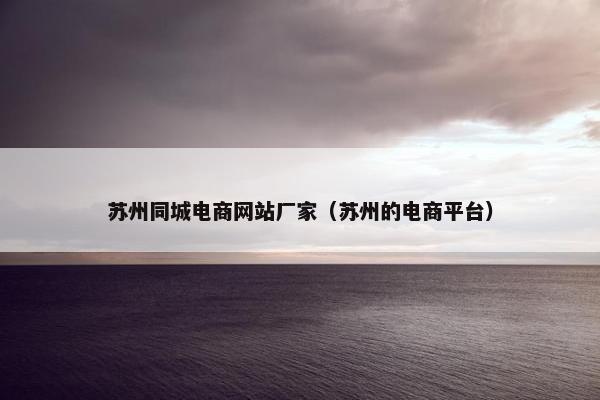 苏州同城电商网站厂家（苏州的电商平台）