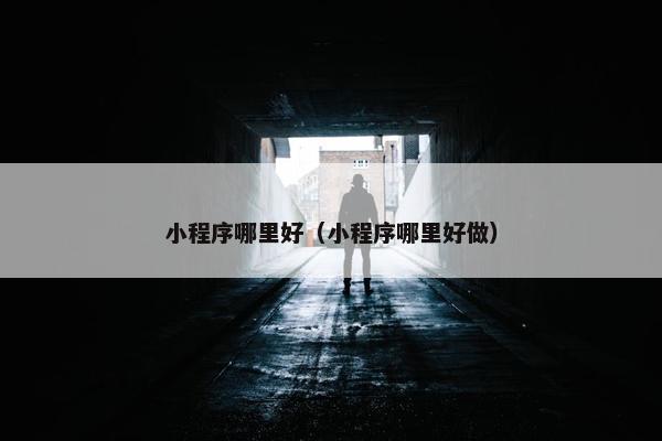 小程序哪里好（小程序哪里好做）