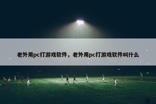 老外用pc打游戏软件，老外用pc打游戏软件叫什么