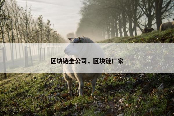 区块链全公司，区块链厂家