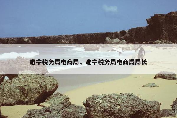 睢宁税务局电商局，睢宁税务局电商局局长