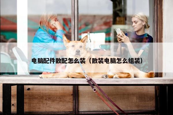 电脑配件散配怎么装（散装电脑怎么组装）