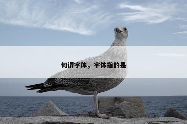 何谓字体，字体指的是