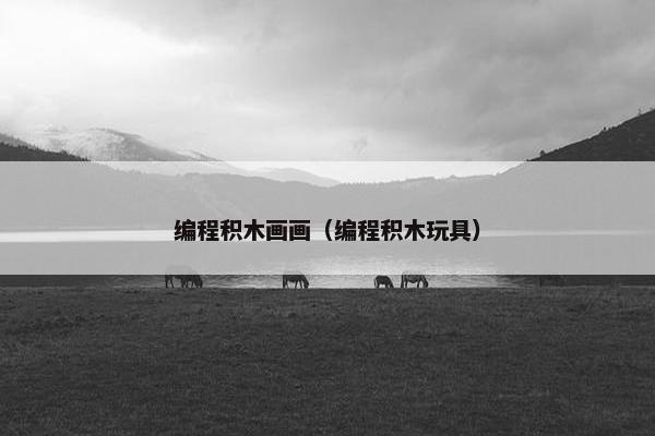编程积木画画（编程积木玩具）