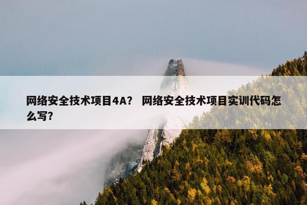 网络安全技术项目4A？ 网络安全技术项目实训代码怎么写？