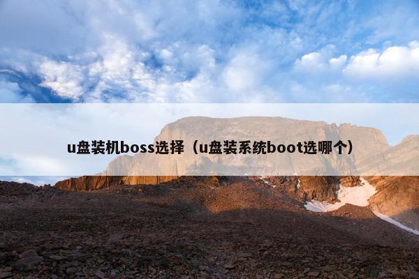 u盘装机boss选择（u盘装系统boot选哪个）