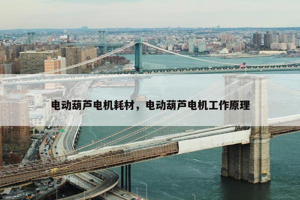电动葫芦电机耗材，电动葫芦电机工作原理