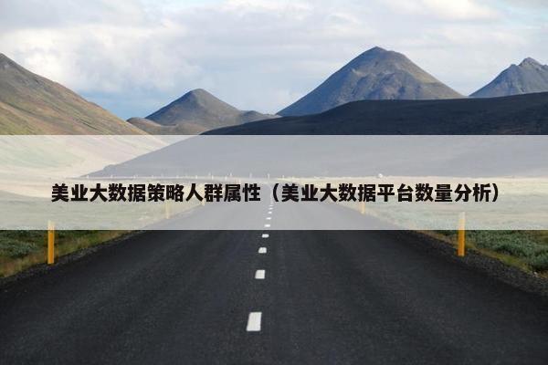 美业大数据策略人群属性（美业大数据平台数量分析）