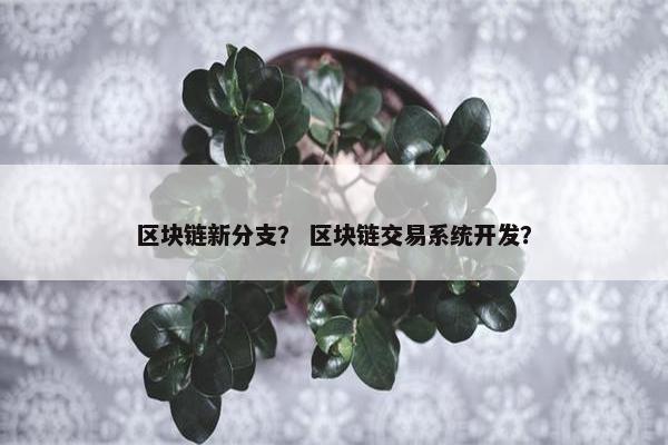 区块链新分支？ 区块链交易系统开发？