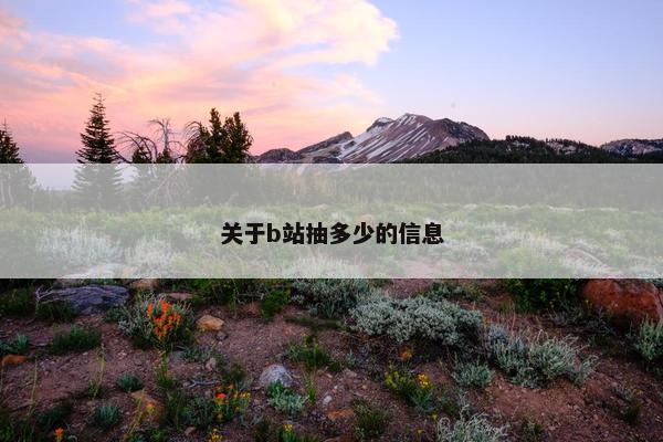 关于b站抽多少的信息