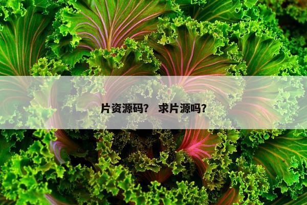 片资源码？ 求片源吗？