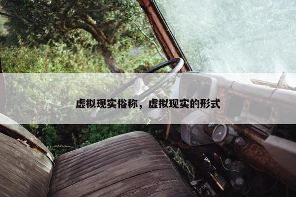 虚拟现实俗称，虚拟现实的形式
