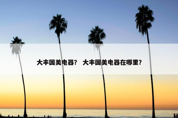 大丰国美电器？ 大丰国美电器在哪里？
