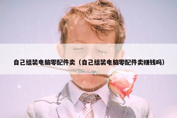 自己组装电脑零配件卖（自己组装电脑零配件卖赚钱吗）