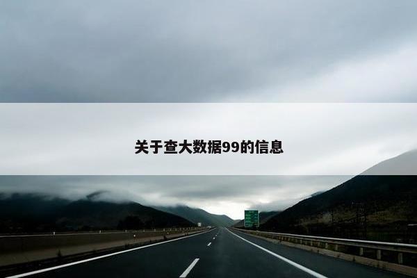关于查大数据99的信息