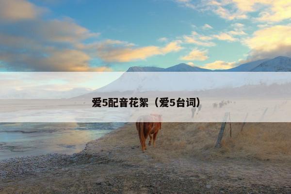 爱5配音花絮（爱5台词）