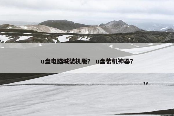 u盘电脑城装机版？ u盘装机神器？
