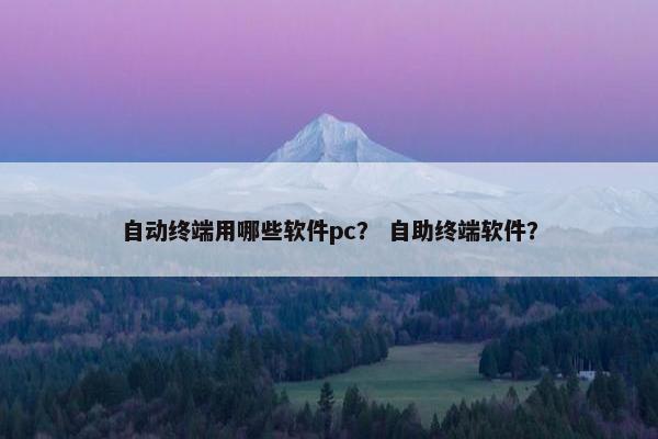 自动终端用哪些软件pc？ 自助终端软件？
