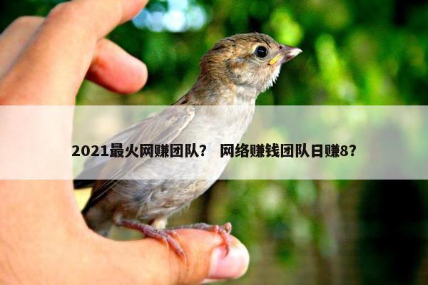 2021最火网赚团队？ 网络赚钱团队日赚8？