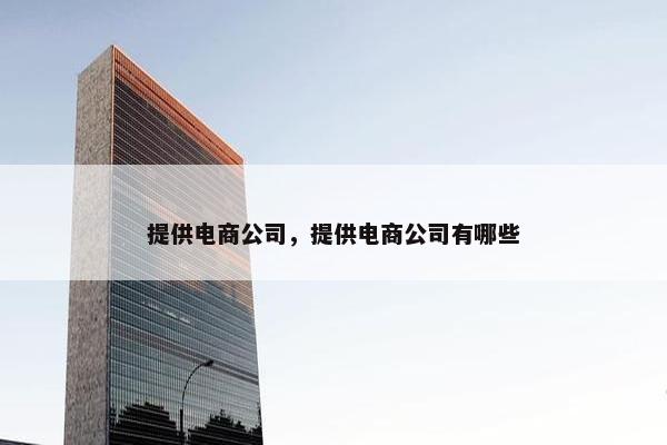 提供电商公司，提供电商公司有哪些