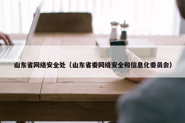 山东省网络安全处（山东省委网络安全和信息化委员会）