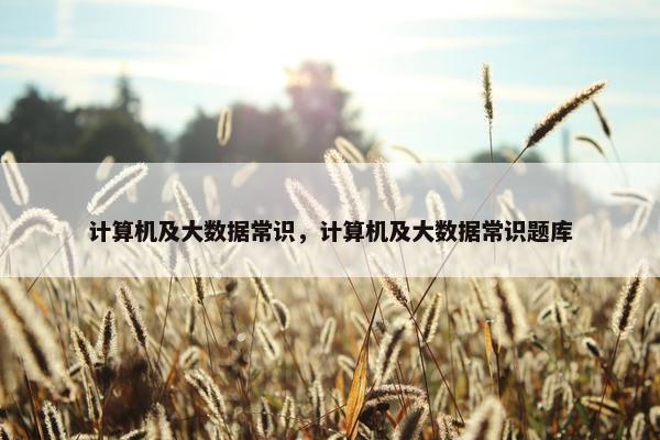 计算机及大数据常识，计算机及大数据常识题库