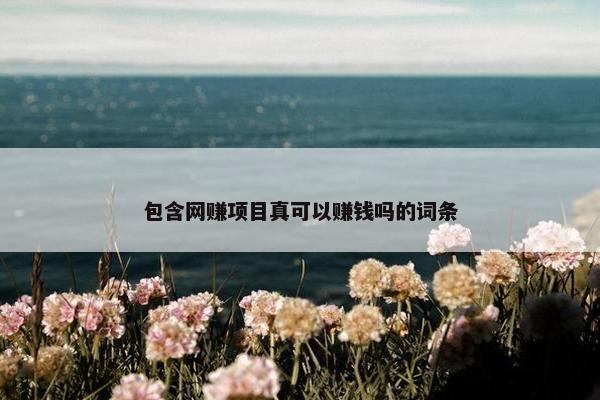 包含网赚项目真可以赚钱吗的词条