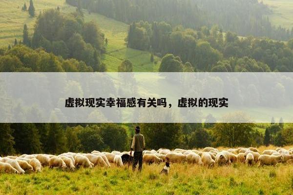 虚拟现实幸福感有关吗，虚拟的现实