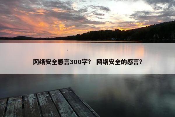 网络安全感言300字？ 网络安全的感言？