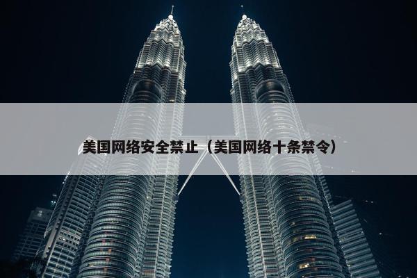 美国网络安全禁止（美国网络十条禁令）