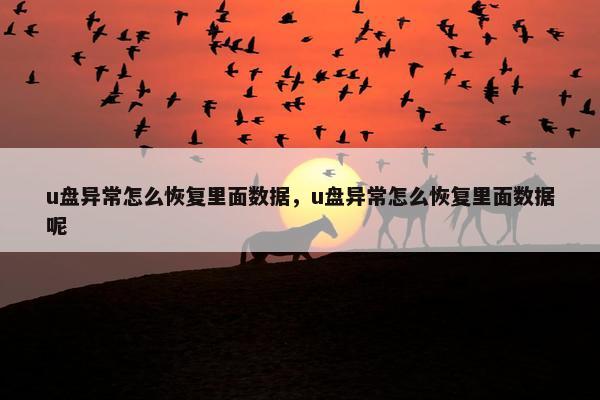 u盘异常怎么恢复里面数据，u盘异常怎么恢复里面数据呢