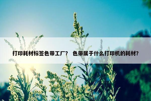 打印耗材标签色带工厂？ 色带属于什么打印机的耗材？