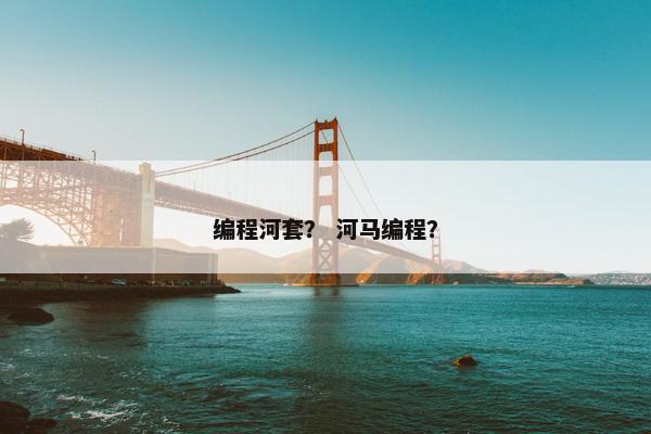 编程河套？ 河马编程？
