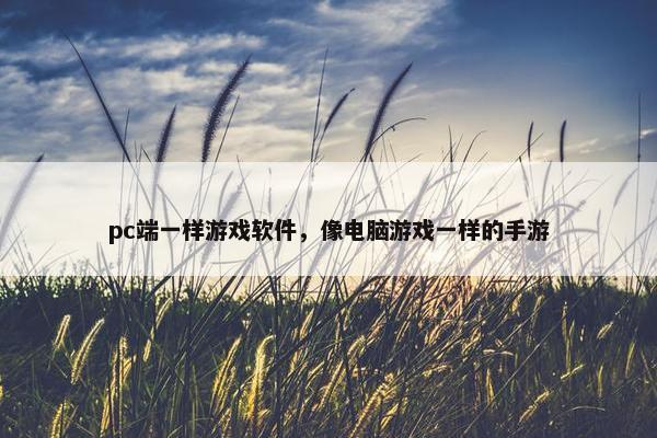 pc端一样游戏软件，像电脑游戏一样的手游