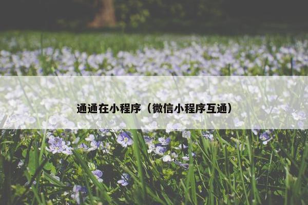 通通在小程序（微信小程序互通）