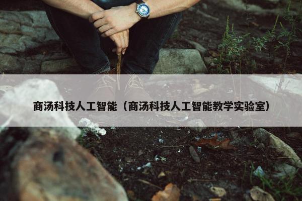 商汤科技人工智能（商汤科技人工智能教学实验室）
